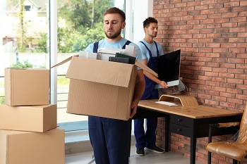 Professional workers carrying stuff out of office. Moving service - office move